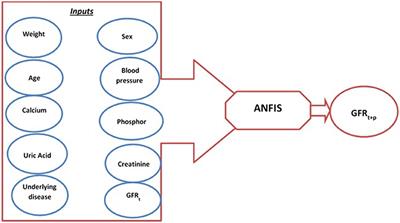 Designing and Implementing an ANFIS Based Medical Decision Support System to Predict Chronic Kidney Disease Progression